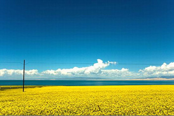 qinghaihu lake